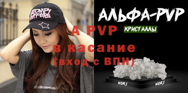 шишки Верея