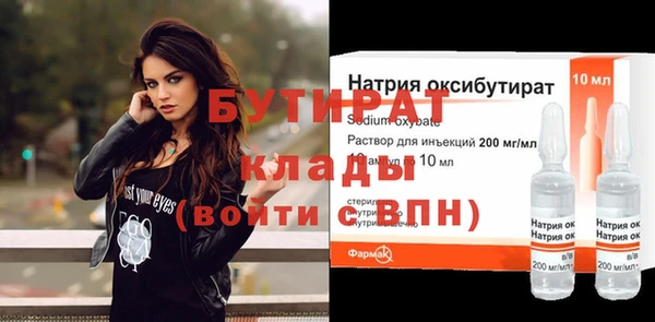 шишки Верея
