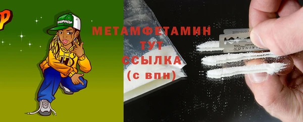 шишки Верея