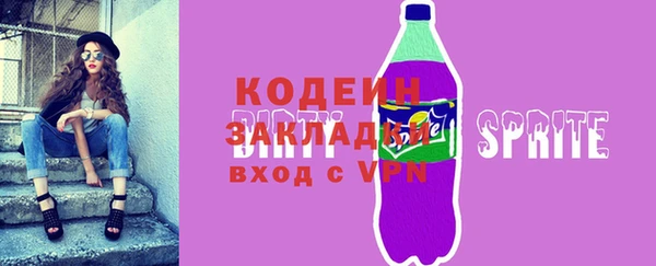 шишки Верея