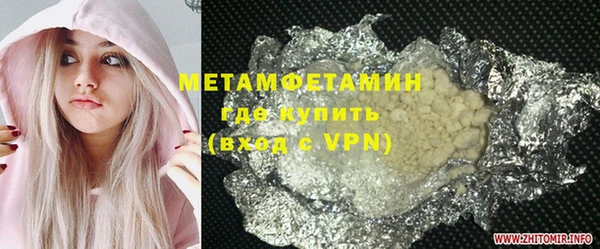 шишки Верея