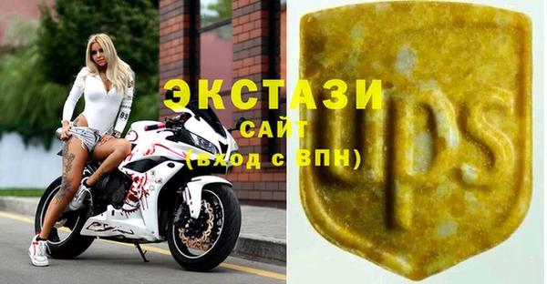 дживик Верхний Тагил
