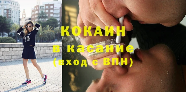 шишки Верея