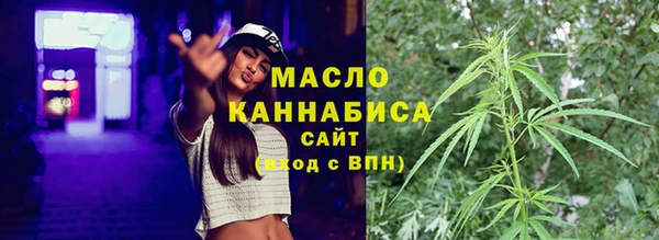 дживик Верхний Тагил