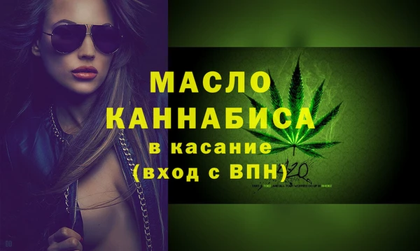 дживик Верхний Тагил