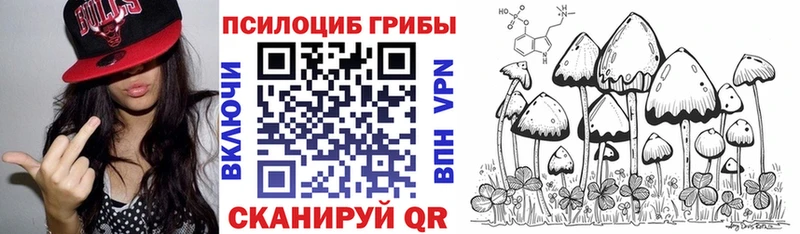 Галлюциногенные грибы GOLDEN TEACHER  цена наркотик  блэк спрут зеркало  Курган 