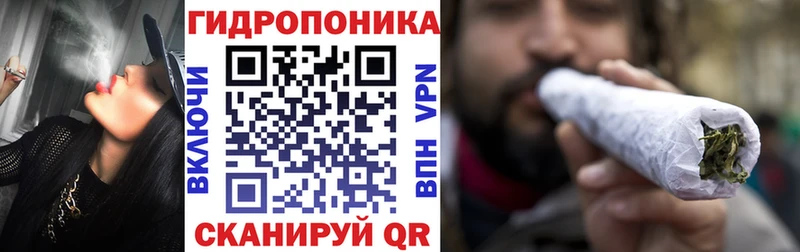 продажа наркотиков  Курган  маркетплейс Telegram  Шишки марихуана тримм 